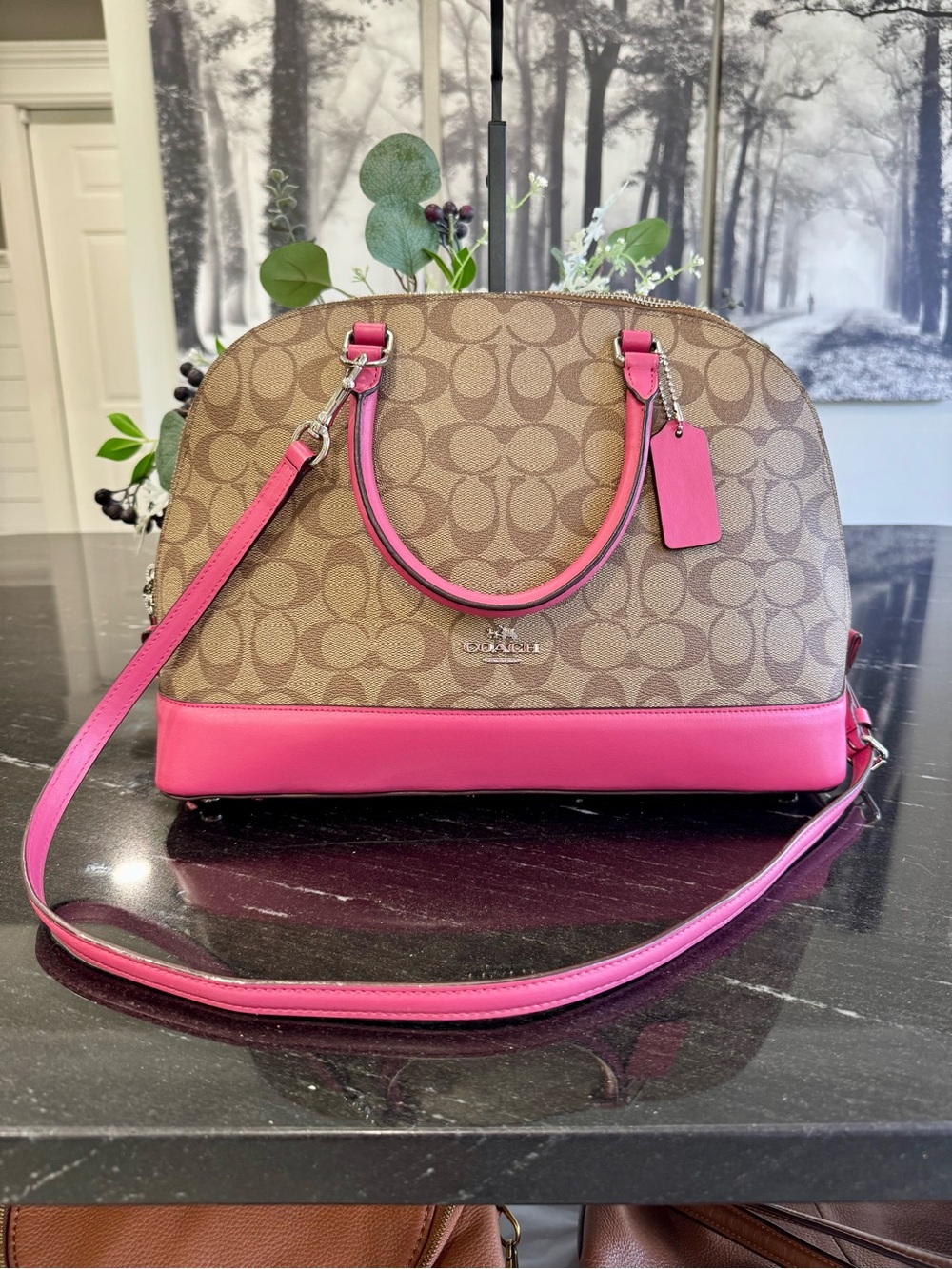 🌸Coach Sierra Dome Satchel Signature Canvas Pink Leather Crossbody Shoulder Bag